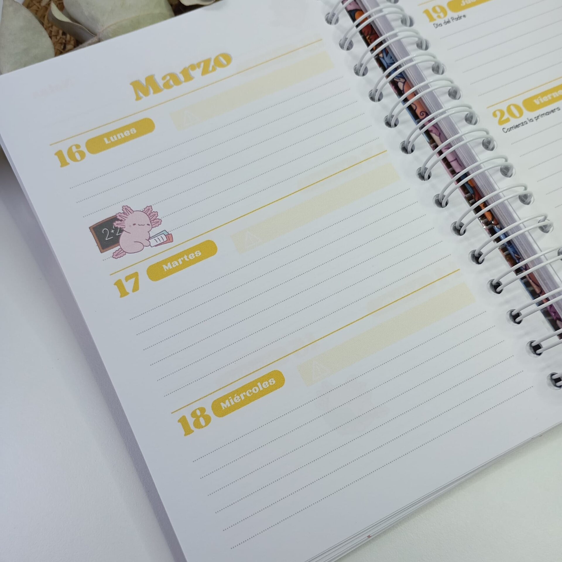 Agenda escolar 2025/2026 - 6