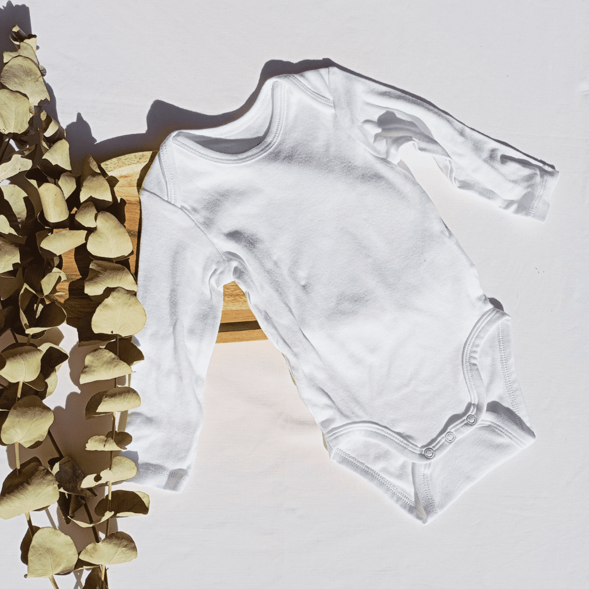 Body colección desde cero - 2