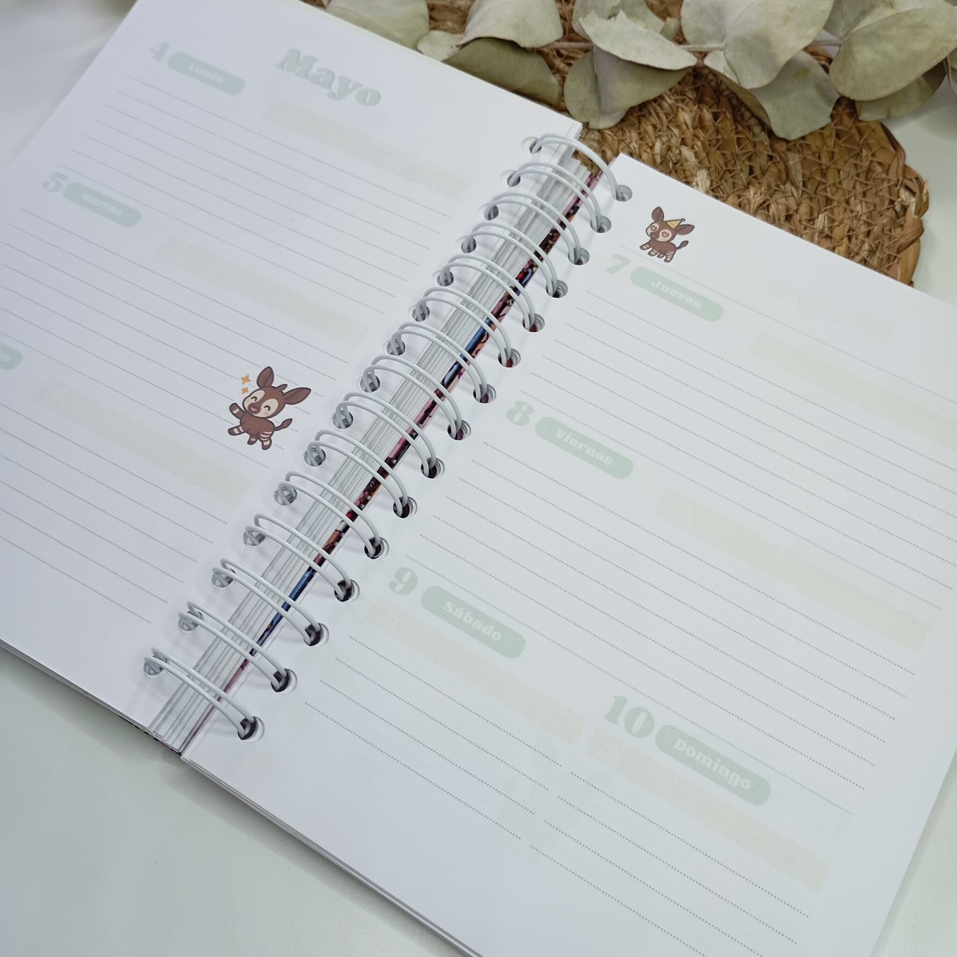 Agenda escolar 2025/2026 - 5