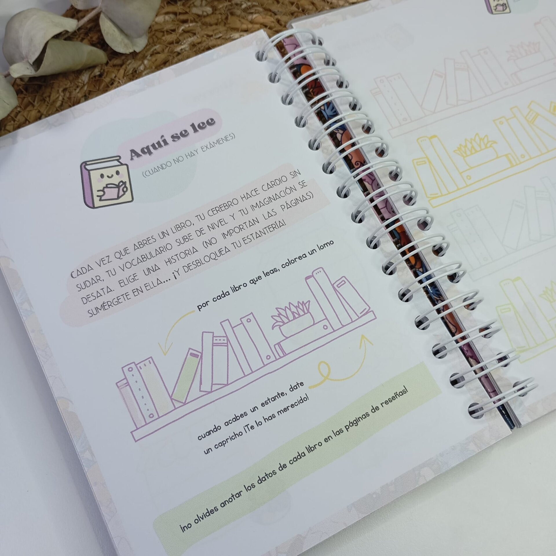 Agenda escolar 2025/2026 - 8